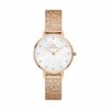 Daniel Wellington Damenuhr DW00100590
