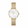 Daniel Wellington Damenuhr DW00100594
